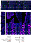 Extended Data Fig. 7