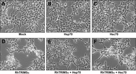 FIGURE 4.