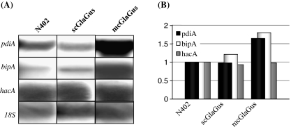 Fig. 4