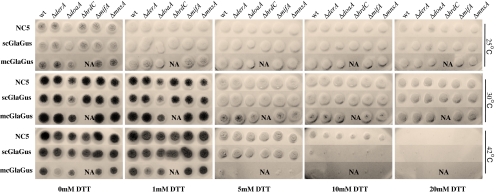 Fig. 7