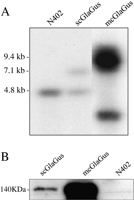 Fig. 3