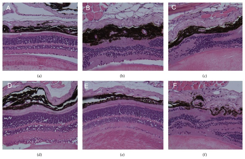 Figure 13