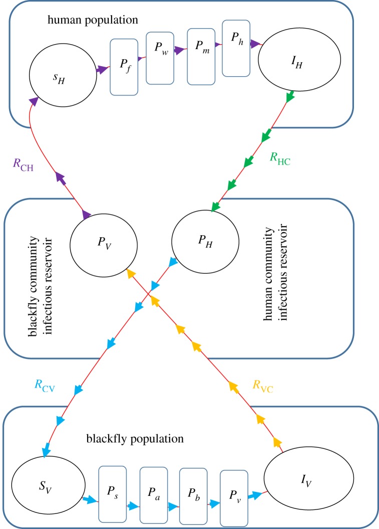 Figure 11.