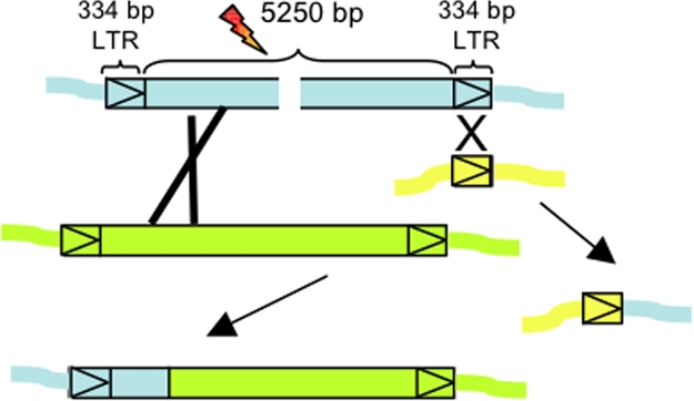 Fig. 2.