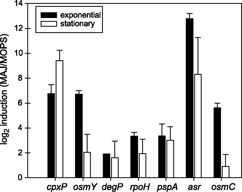 FIG. 2.