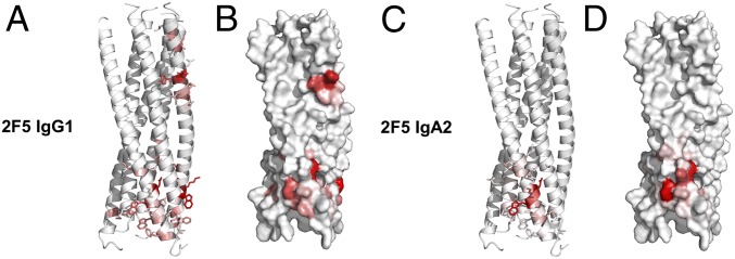 Fig. 5.