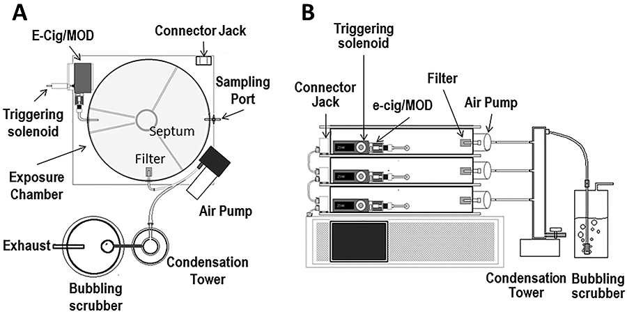 Figure 2: