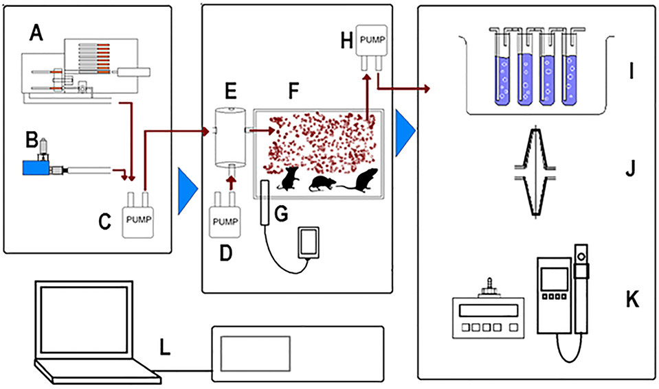 Figure 1: