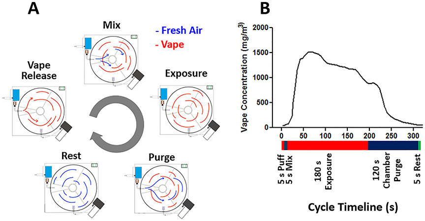 Figure 3: