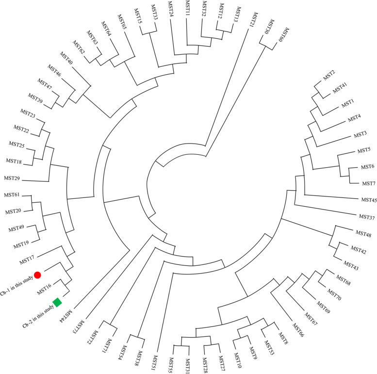 Fig. 2