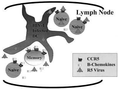 FIG. 6