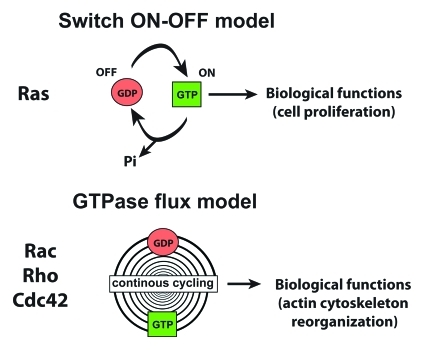 Figure 1.