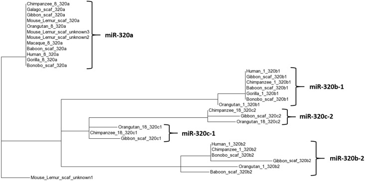 Fig 11