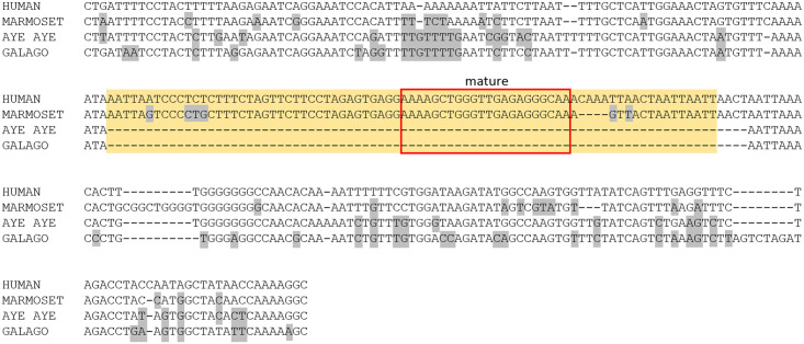 Fig 12