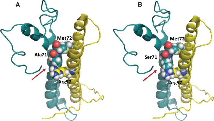 Fig. 7.—