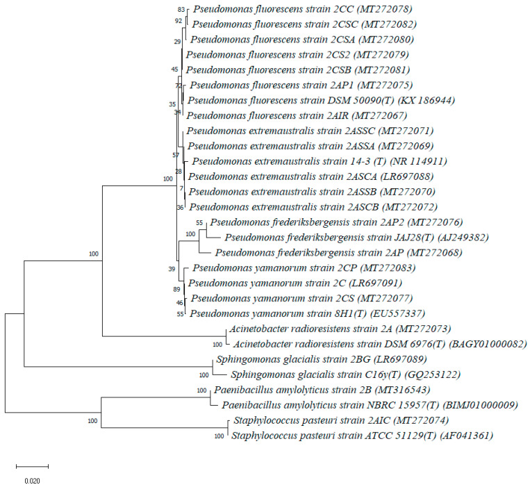 Figure 2