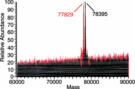 Fig. 8.