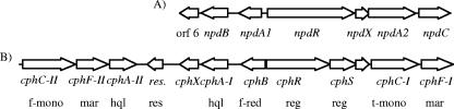 FIG. 2.