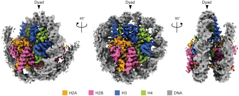 Figure 1.