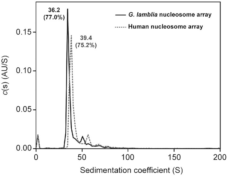 Figure 7.