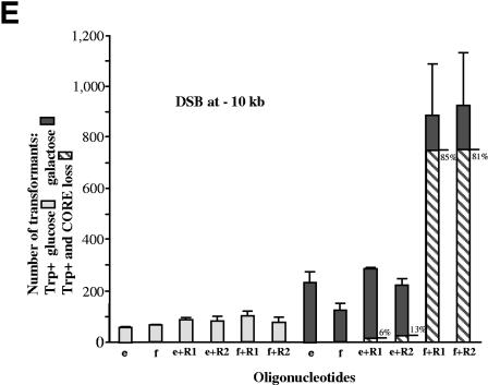 FIG.3.