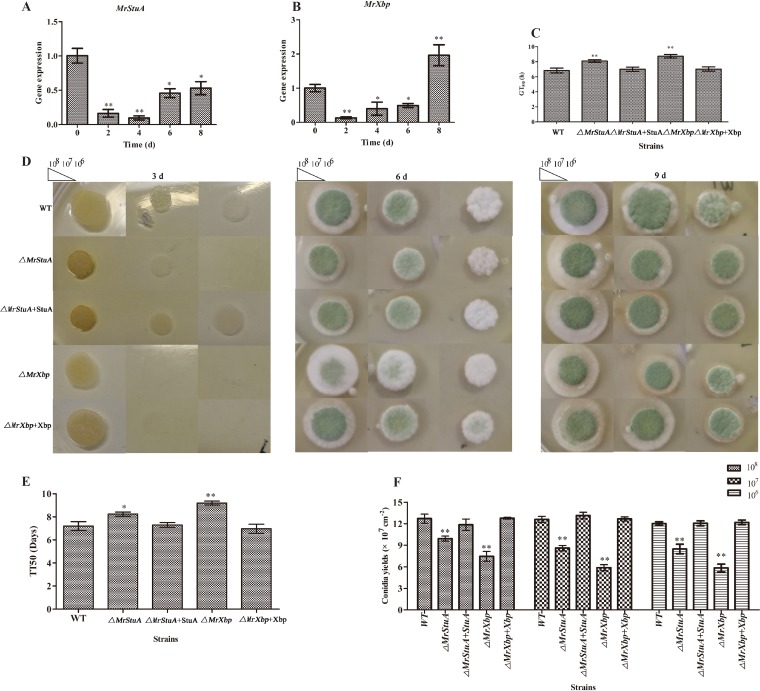 FIG 1