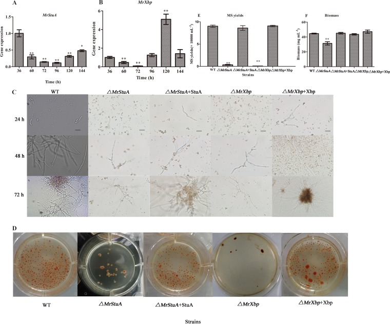 FIG 3