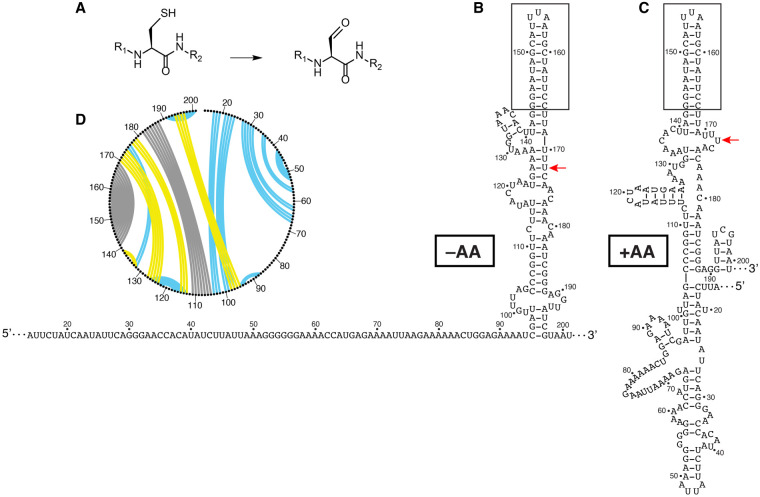 FIGURE 7.