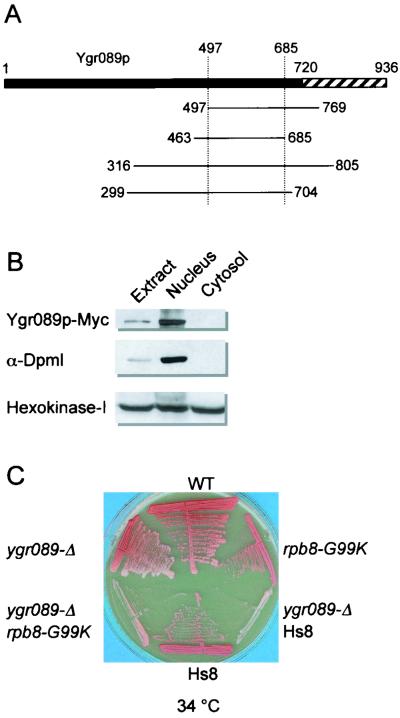 FIG. 7