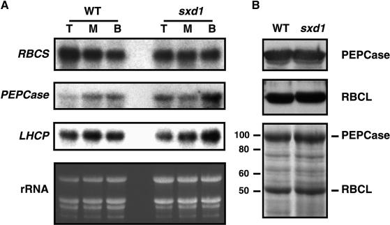 Figure 9.