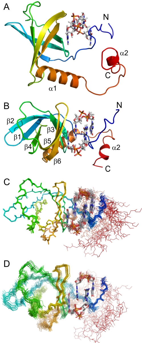 FIGURE 3.