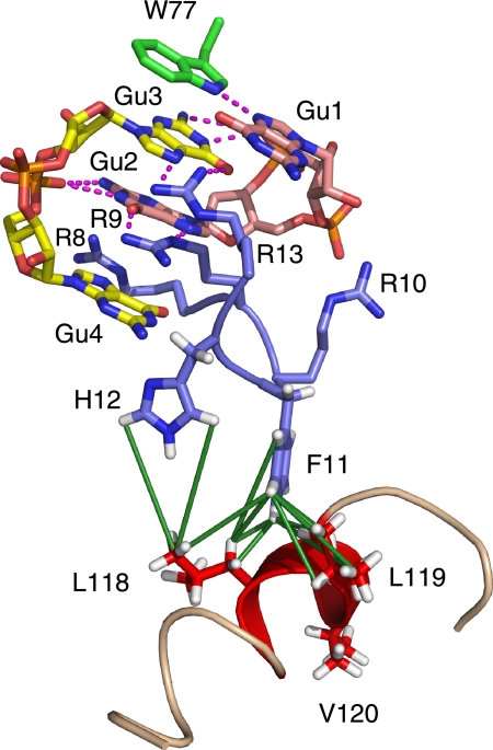 FIGURE 4.