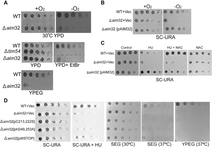 Figure 3