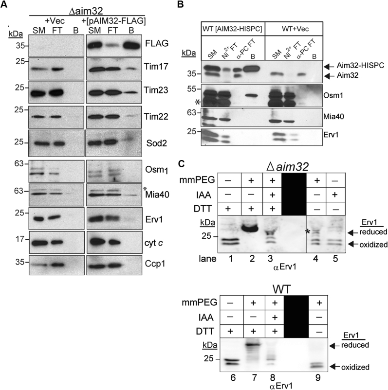 Figure 6