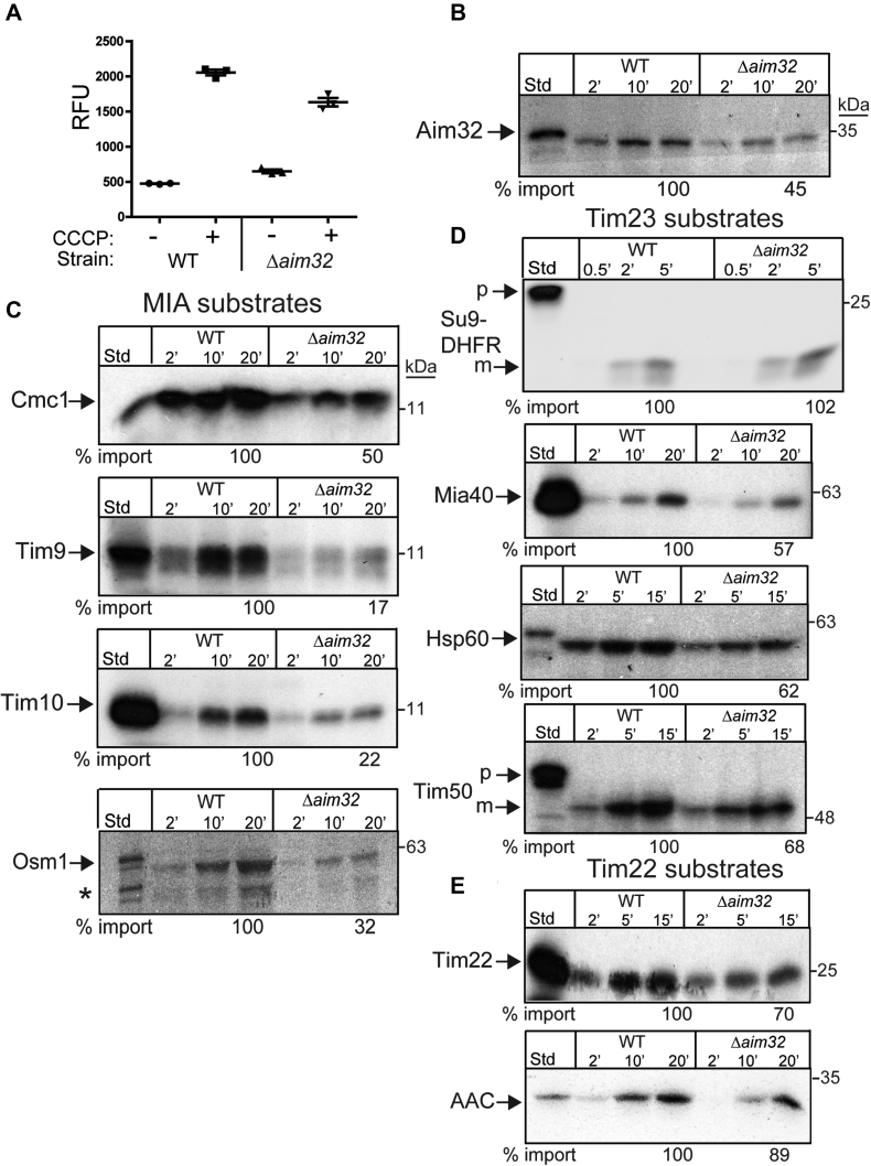 Figure 4