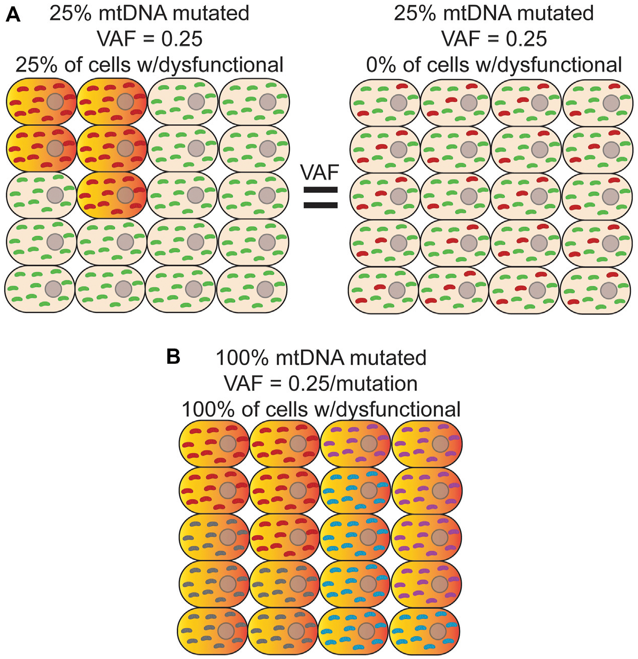 FIGURE 2 |