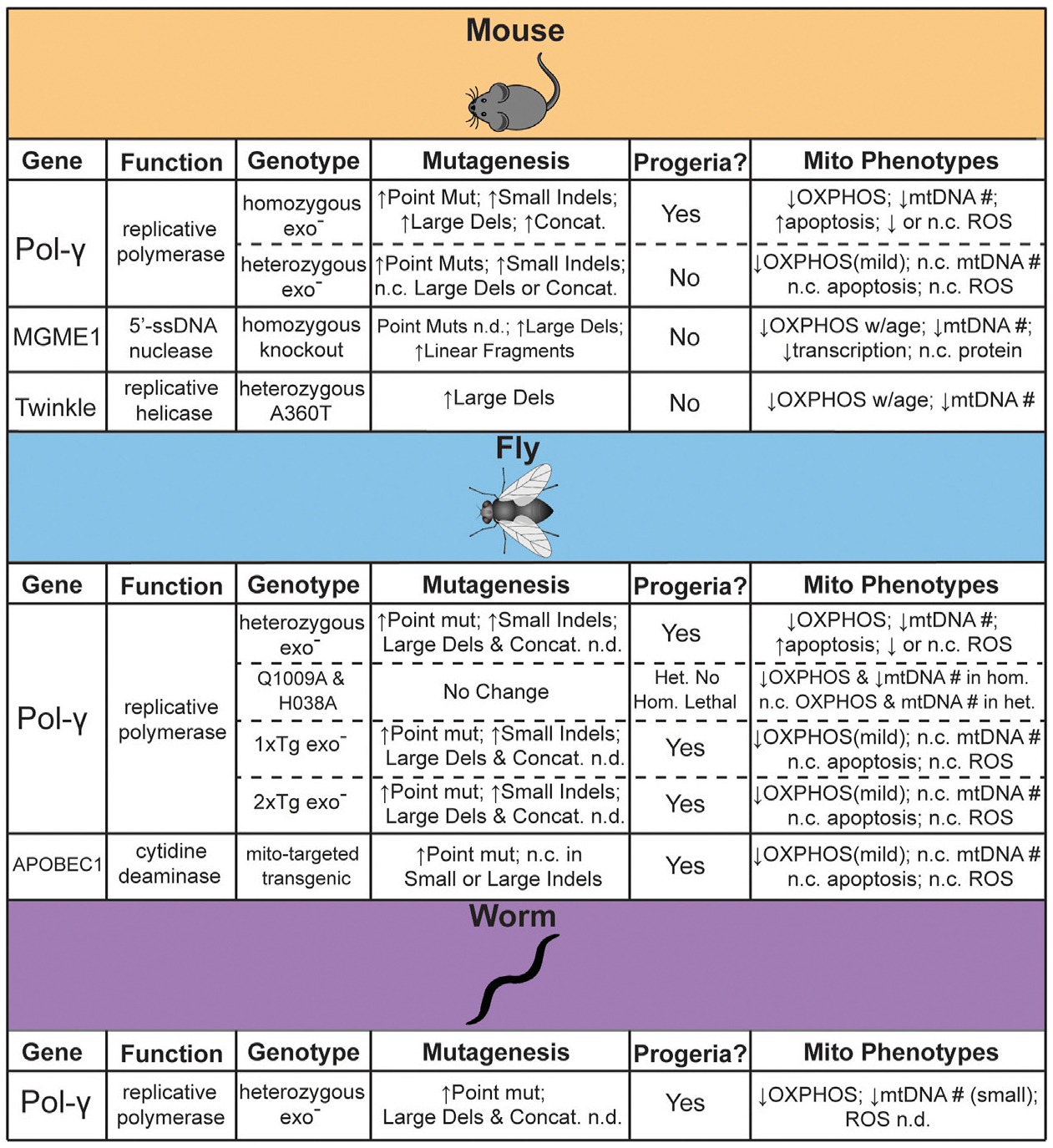 FIGURE 1 |