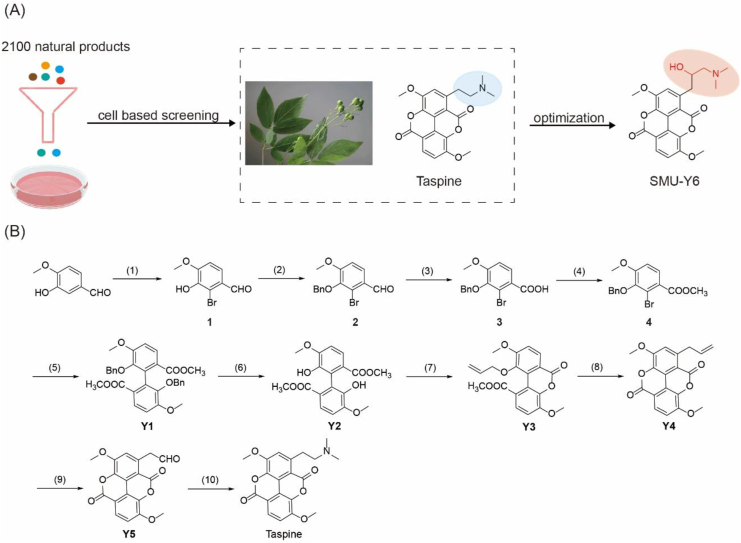 Figure 1