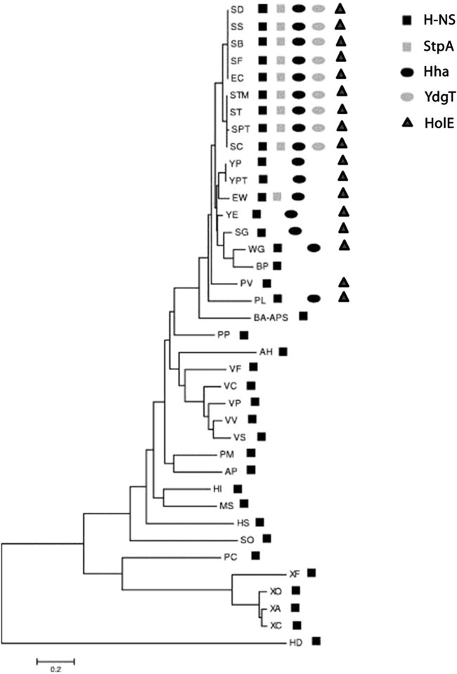 FIG 1