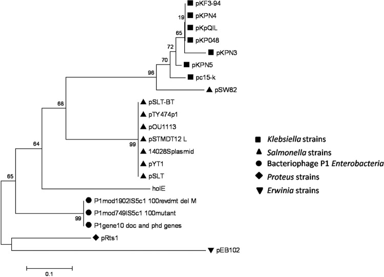 FIG 2