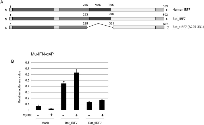 Figure 7