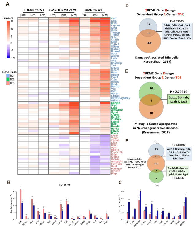 Elevated TREM2 Gene Dosage Reprograms Microglia Responsivity and ...