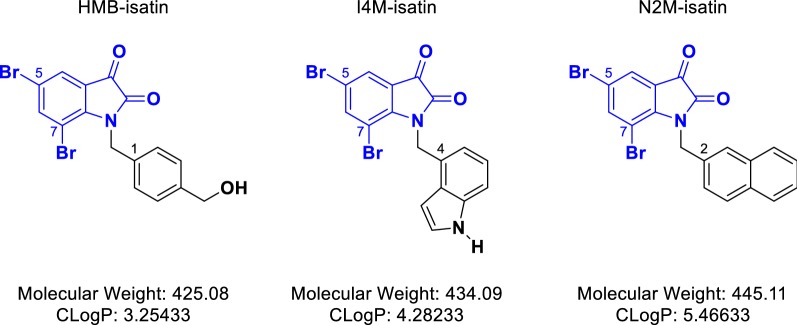 Fig. 1