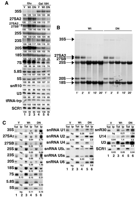 FIG. 6.