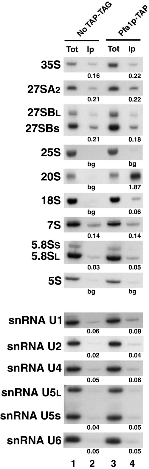 FIG. 5.