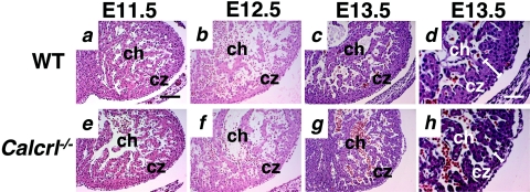 FIG. 5.