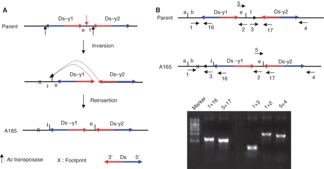 Figure 6.