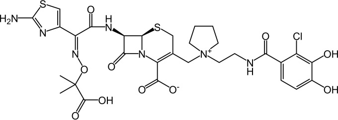 FIG 1