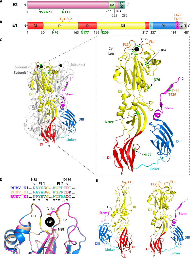 FIG 4