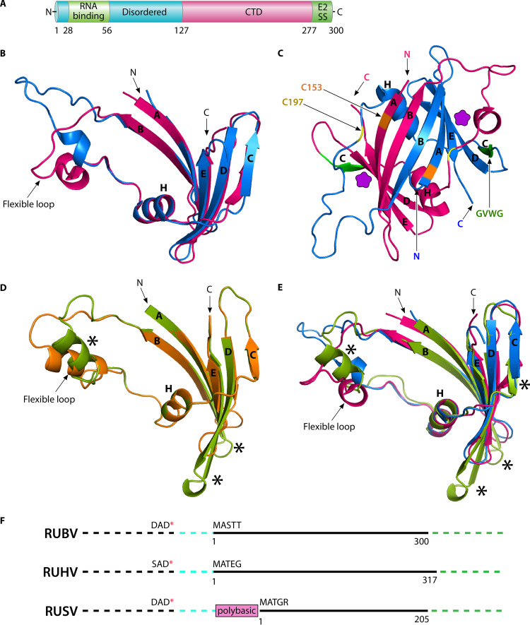 FIG 3